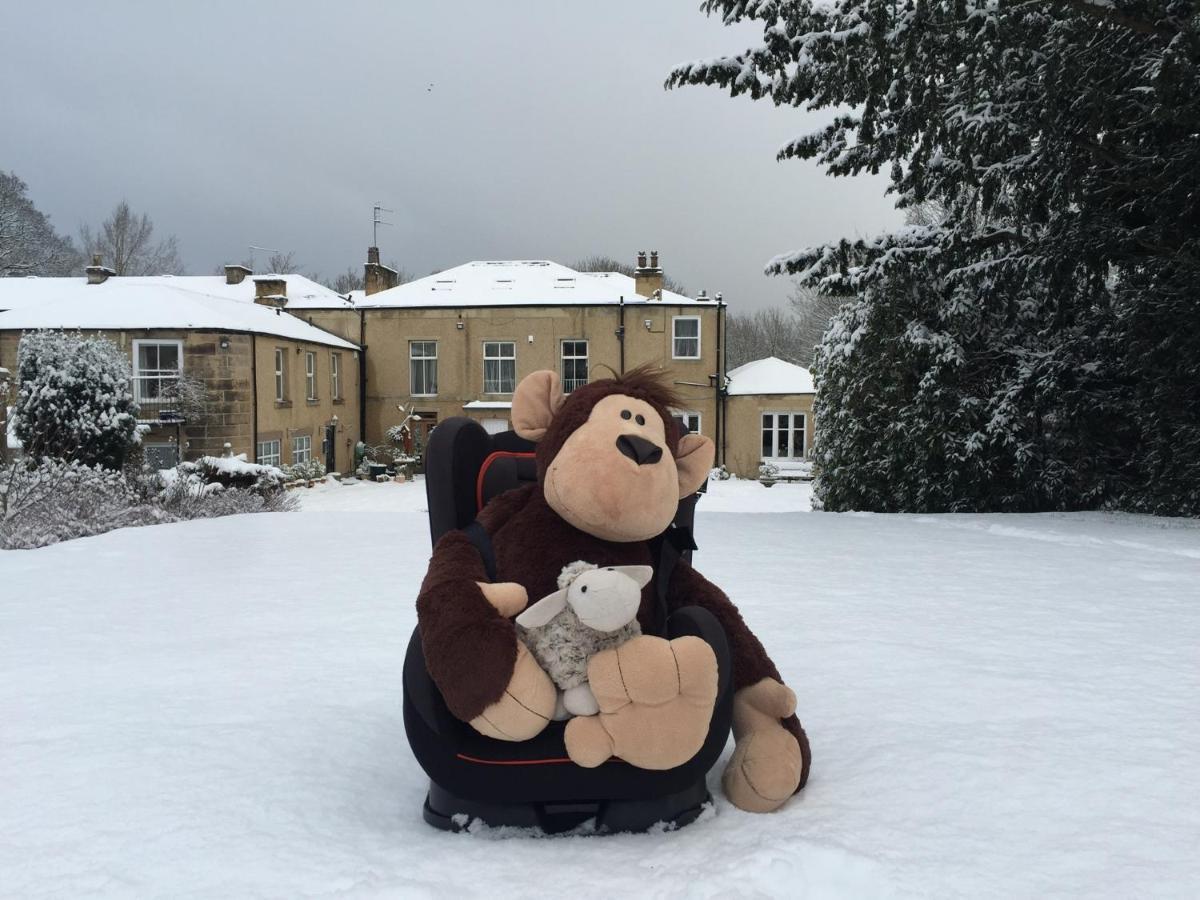 Hedgefield House Hotel Ryton  Екстериор снимка