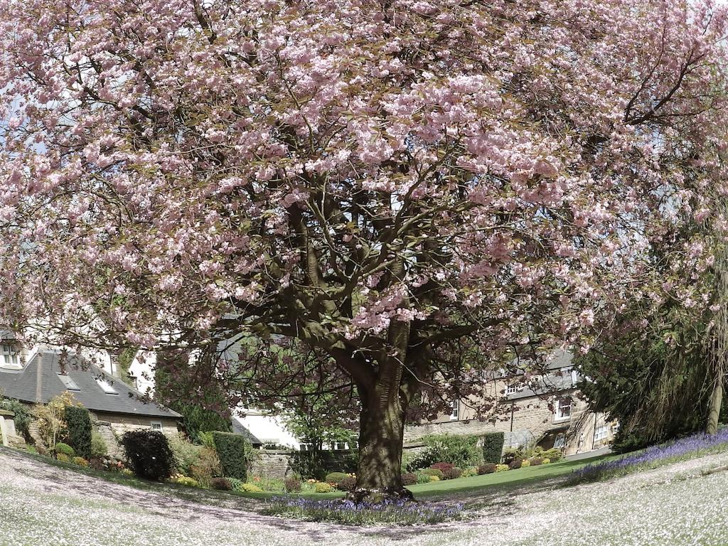Hedgefield House Hotel Ryton  Екстериор снимка
